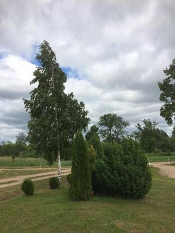 Фото номера Дом для отпуска Дома для отпуска Brīvdienu māja Slugas г. Lēna 49
